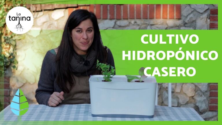 Guía de Compras para Cultivo Hidropónico en Lleida